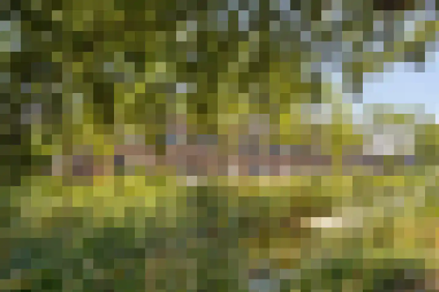 De Spin 32 Uitgeest thumbnail 21