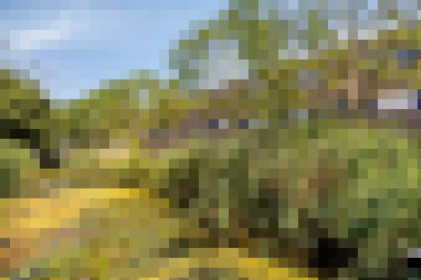 De Spin 32 Uitgeest thumbnail 22