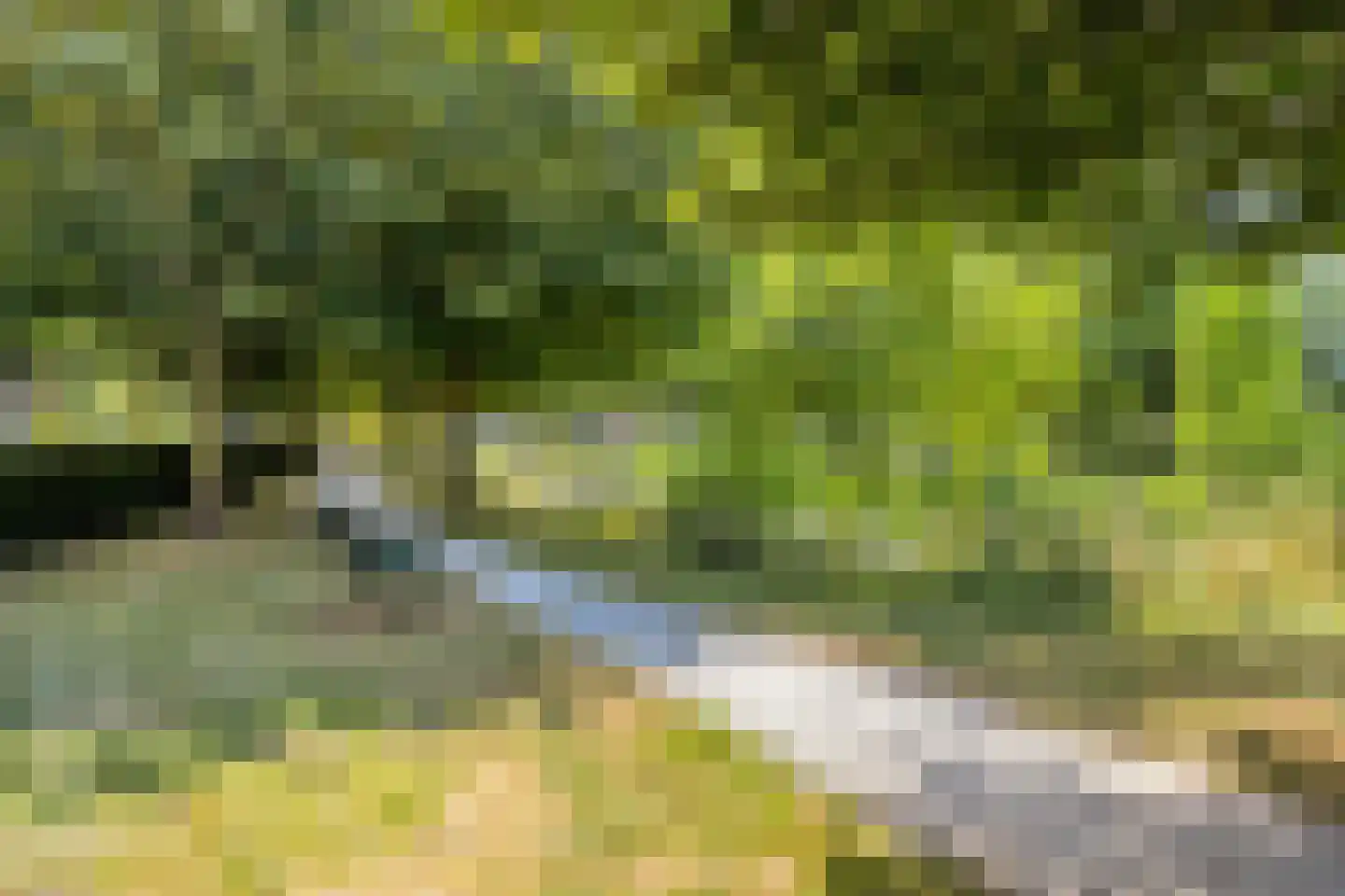 De Spin 32 Uitgeest thumbnail 25