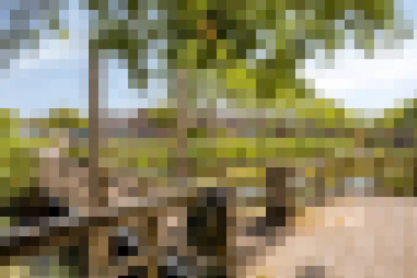 De Spin 32 Uitgeest thumbnail 26