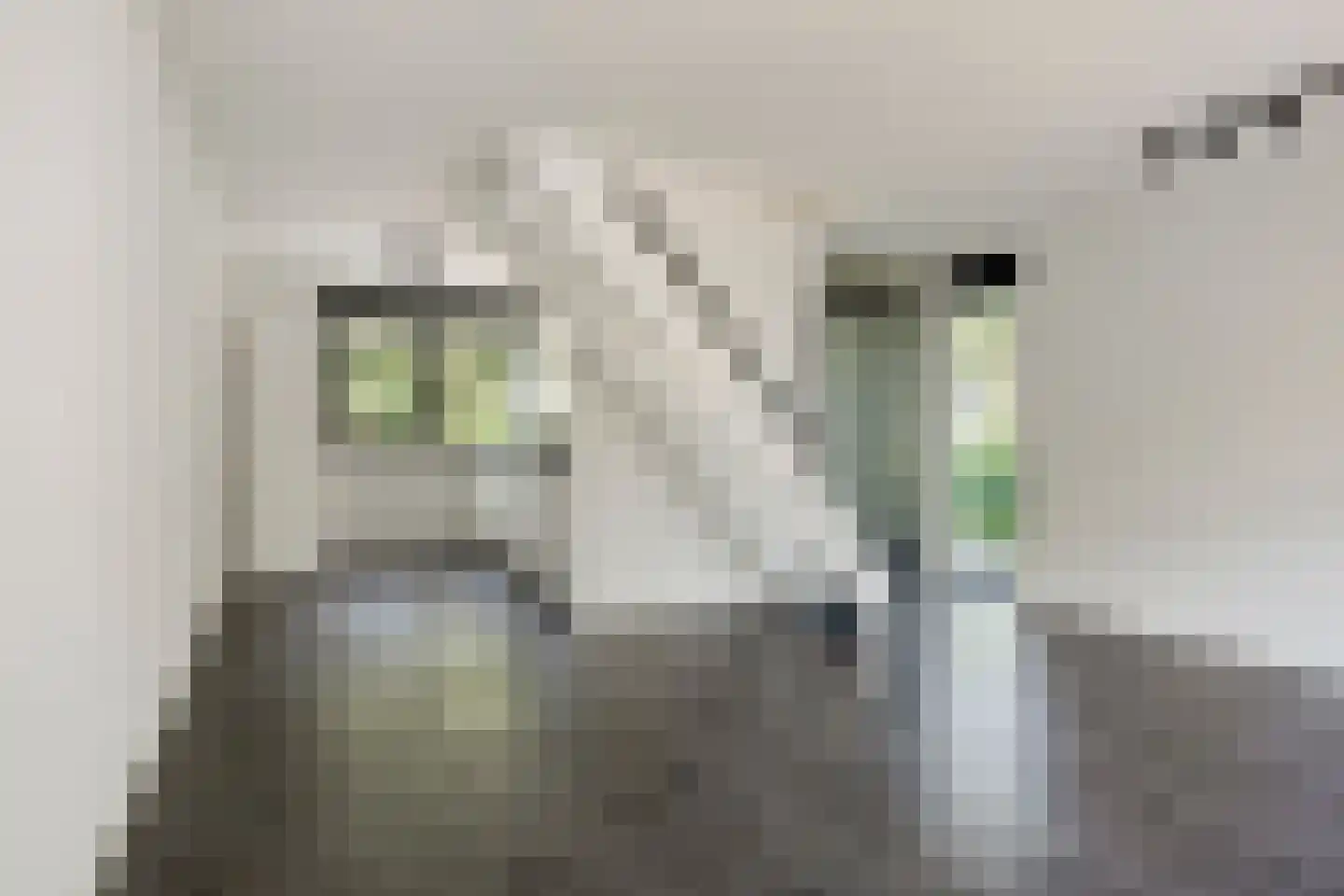 De Spin 32 Uitgeest thumbnail 5