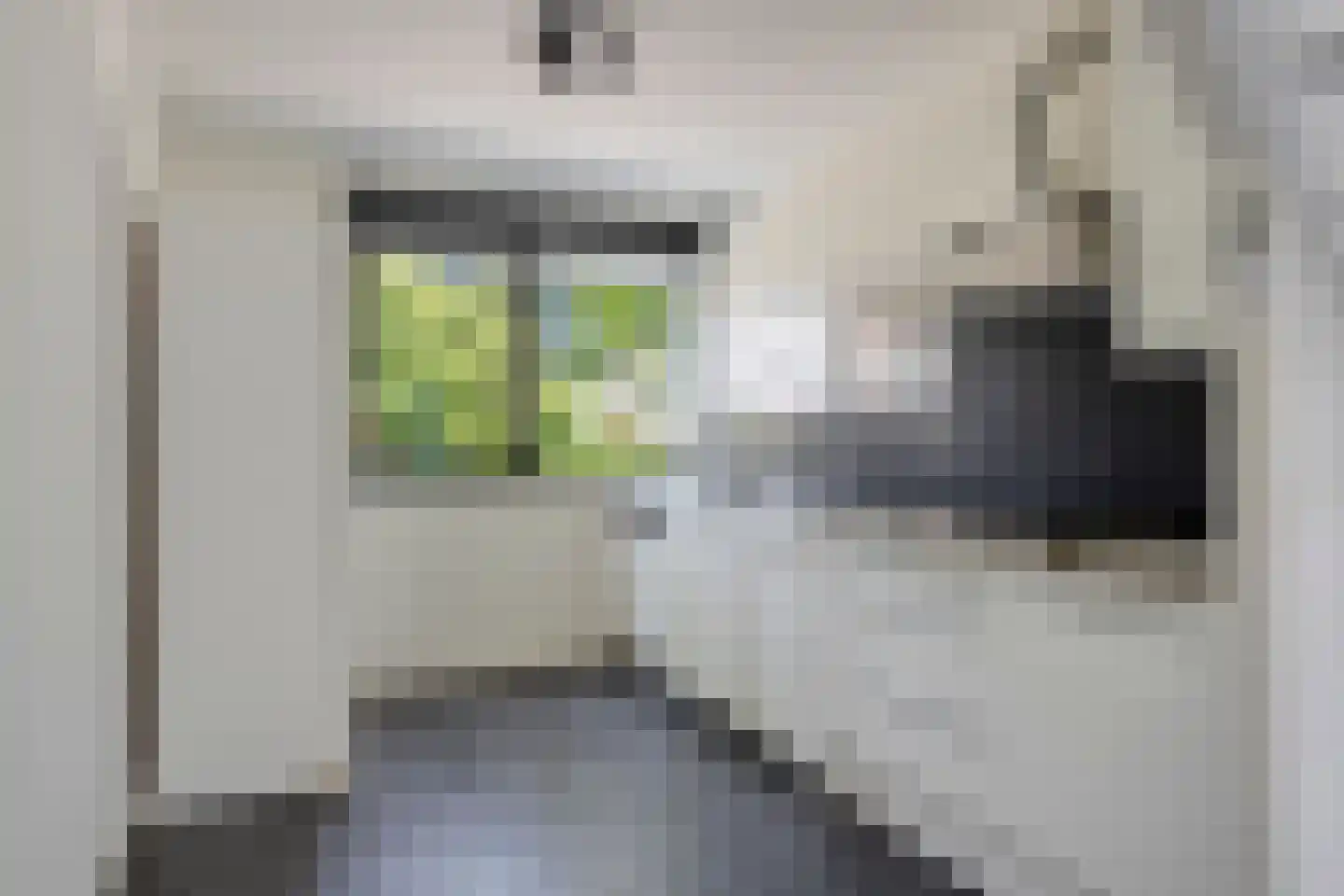 De Spin 32 Uitgeest thumbnail 6