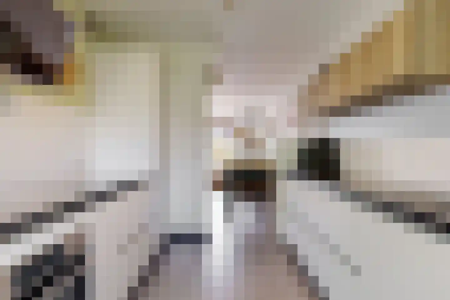 De Spin 34 Uitgeest thumbnail 11