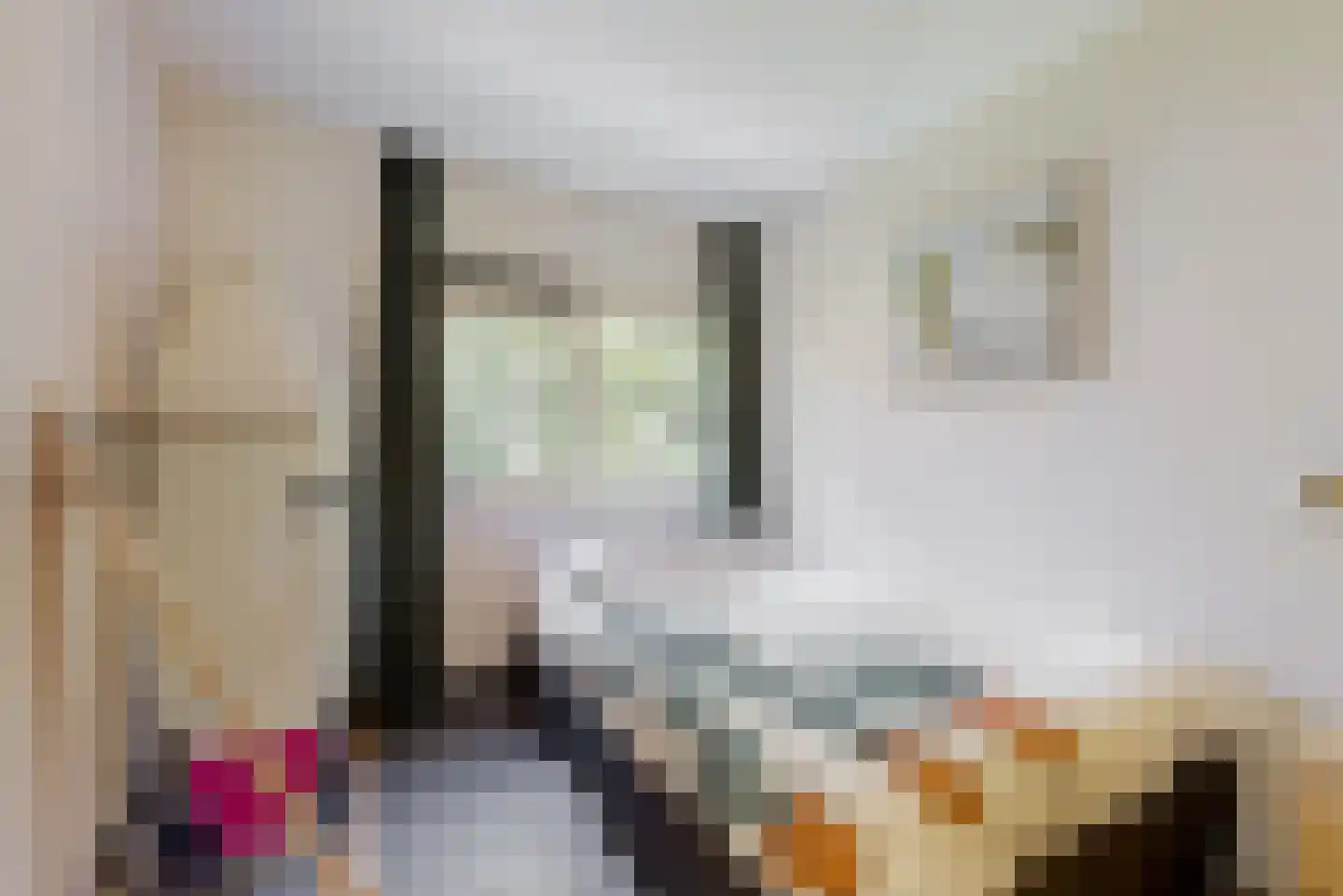 De Spin 34 Uitgeest thumbnail 19