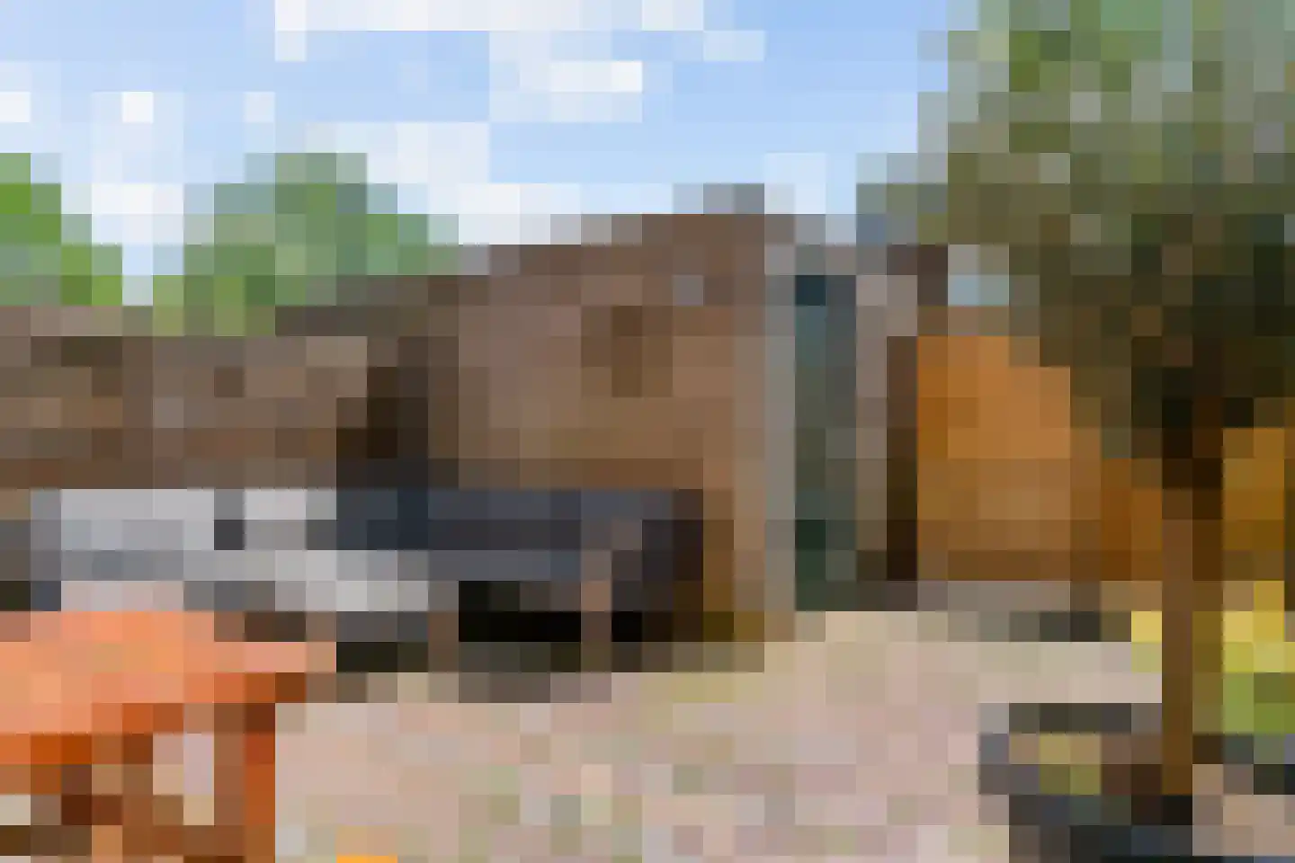 De Spin 34 Uitgeest thumbnail 26