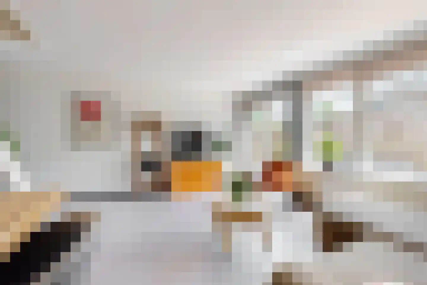 De Spin 34 Uitgeest thumbnail 8