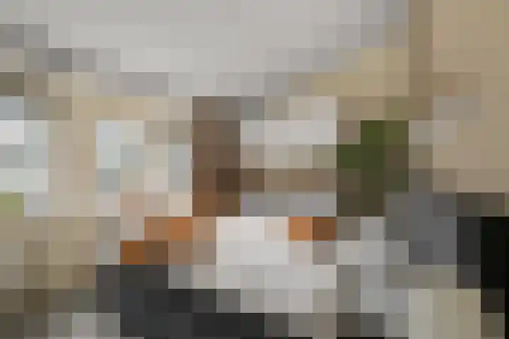 De Spin 38 Uitgeest thumbnail 16