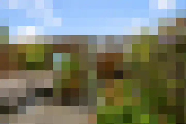 De Spin 38 Uitgeest thumbnail 27