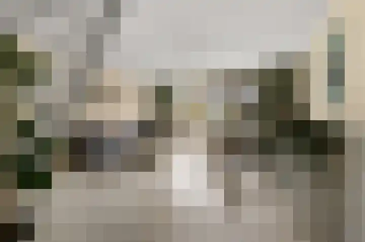 De Spin 38 Uitgeest thumbnail 4