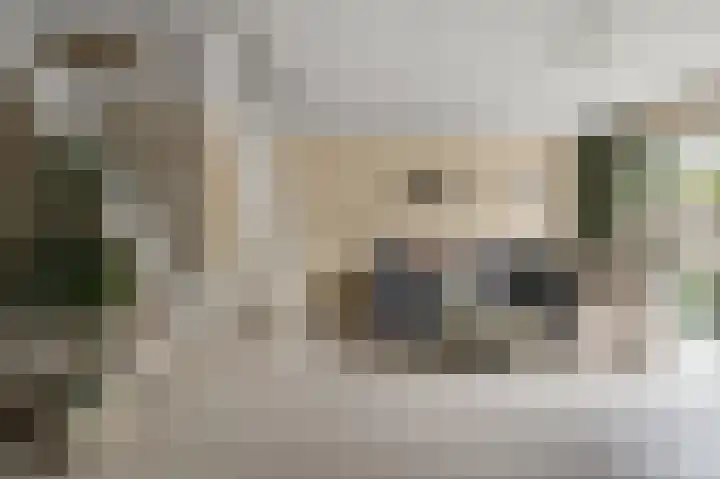 De Spin 38 Uitgeest thumbnail 5