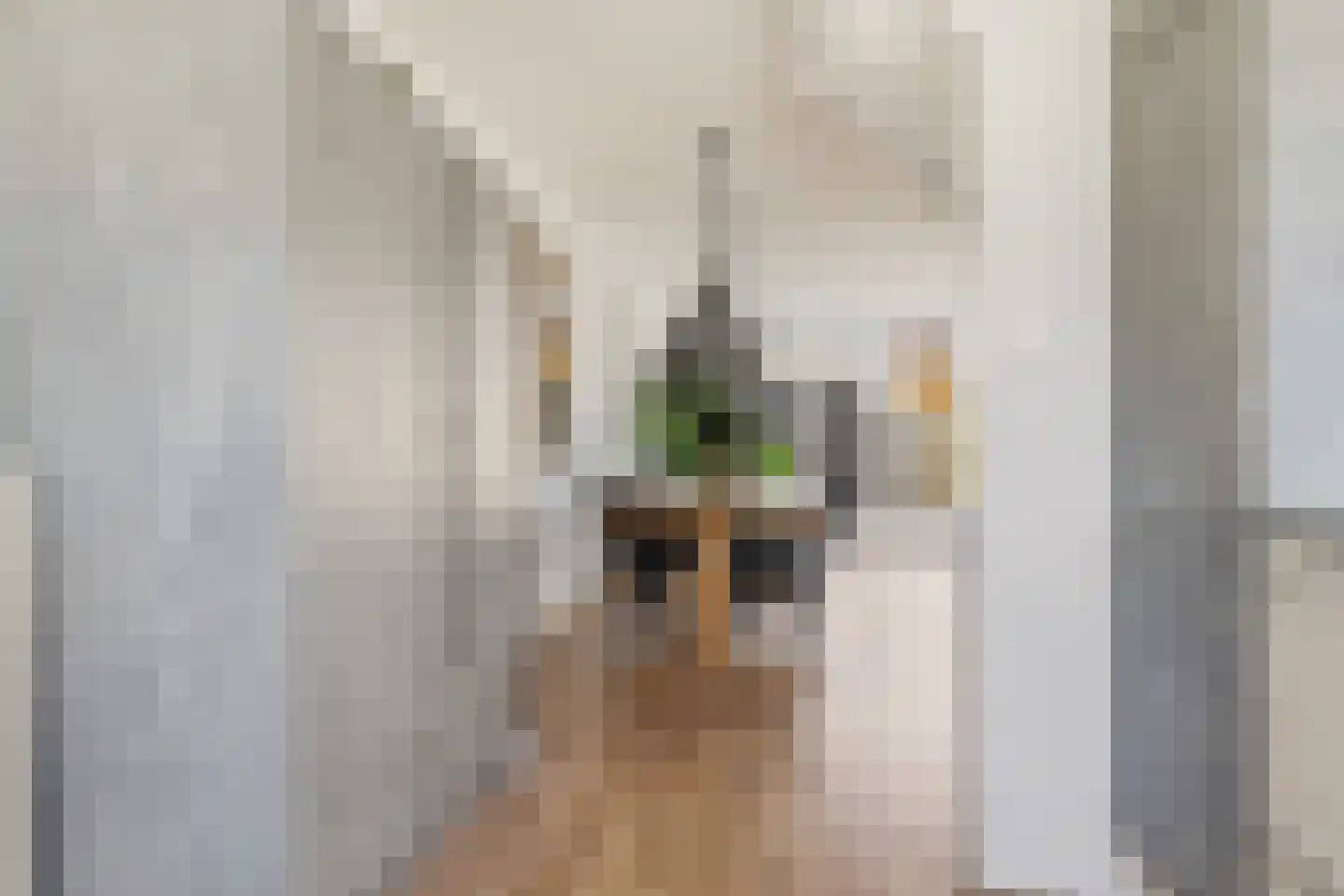 De Spin 6 Uitgeest thumbnail 12