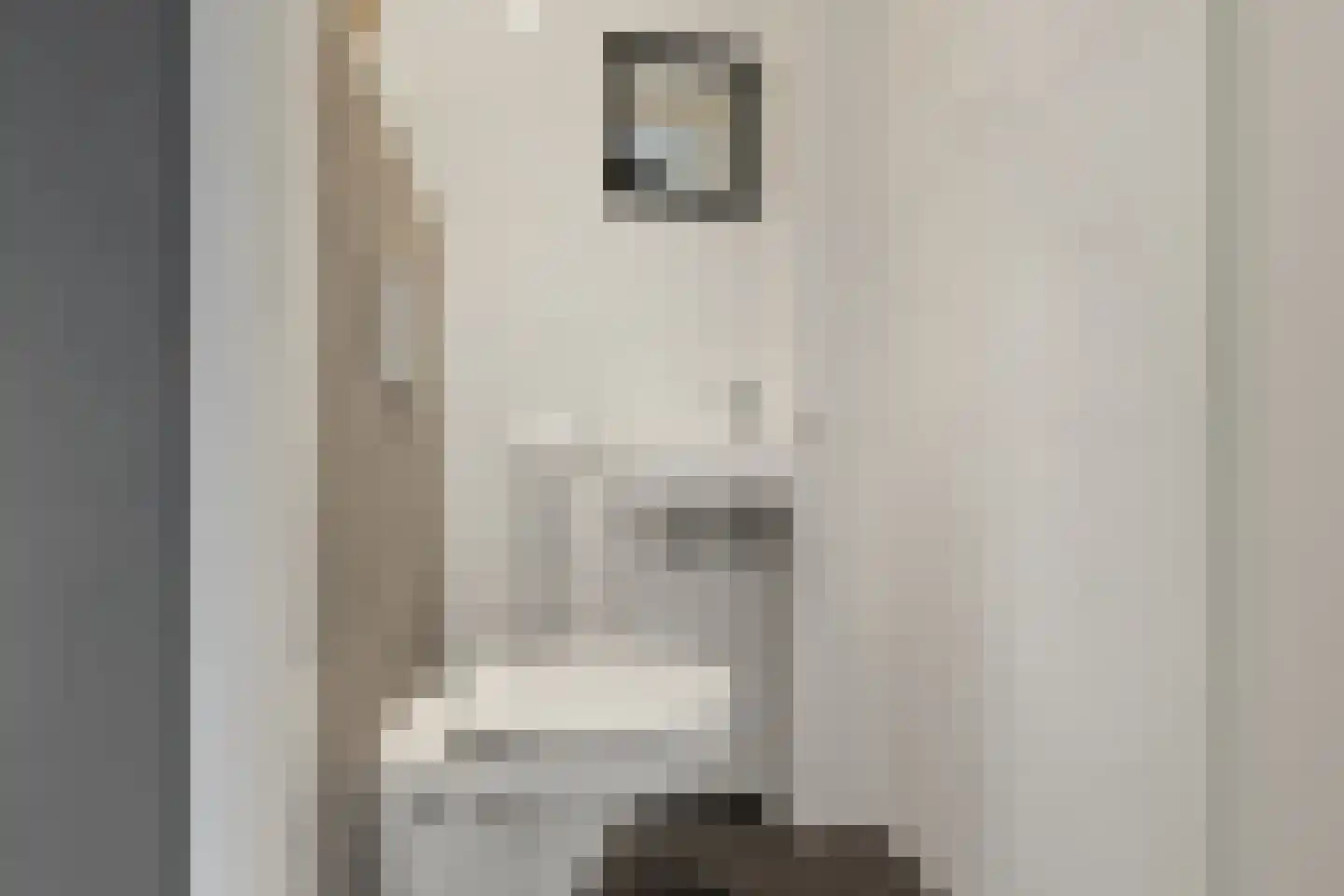 De Spin 6 Uitgeest thumbnail 13