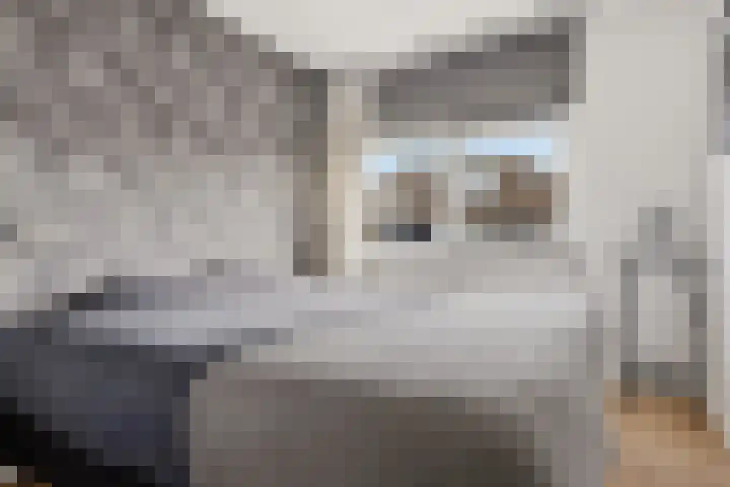 De Spin 6 Uitgeest thumbnail 15