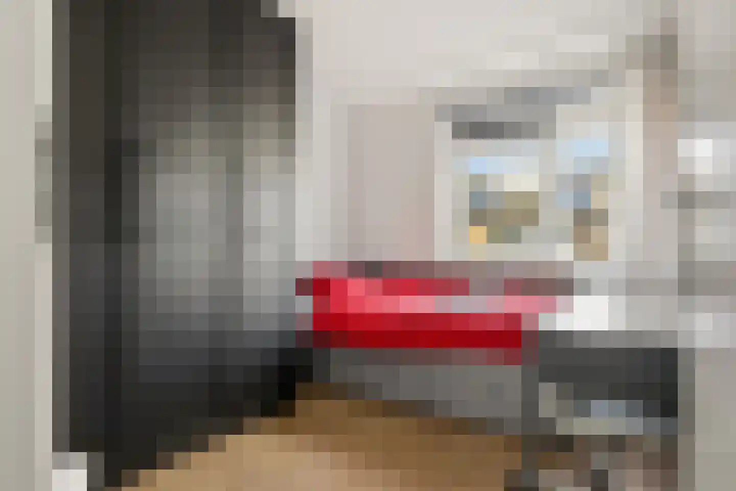 De Spin 6 Uitgeest thumbnail 18