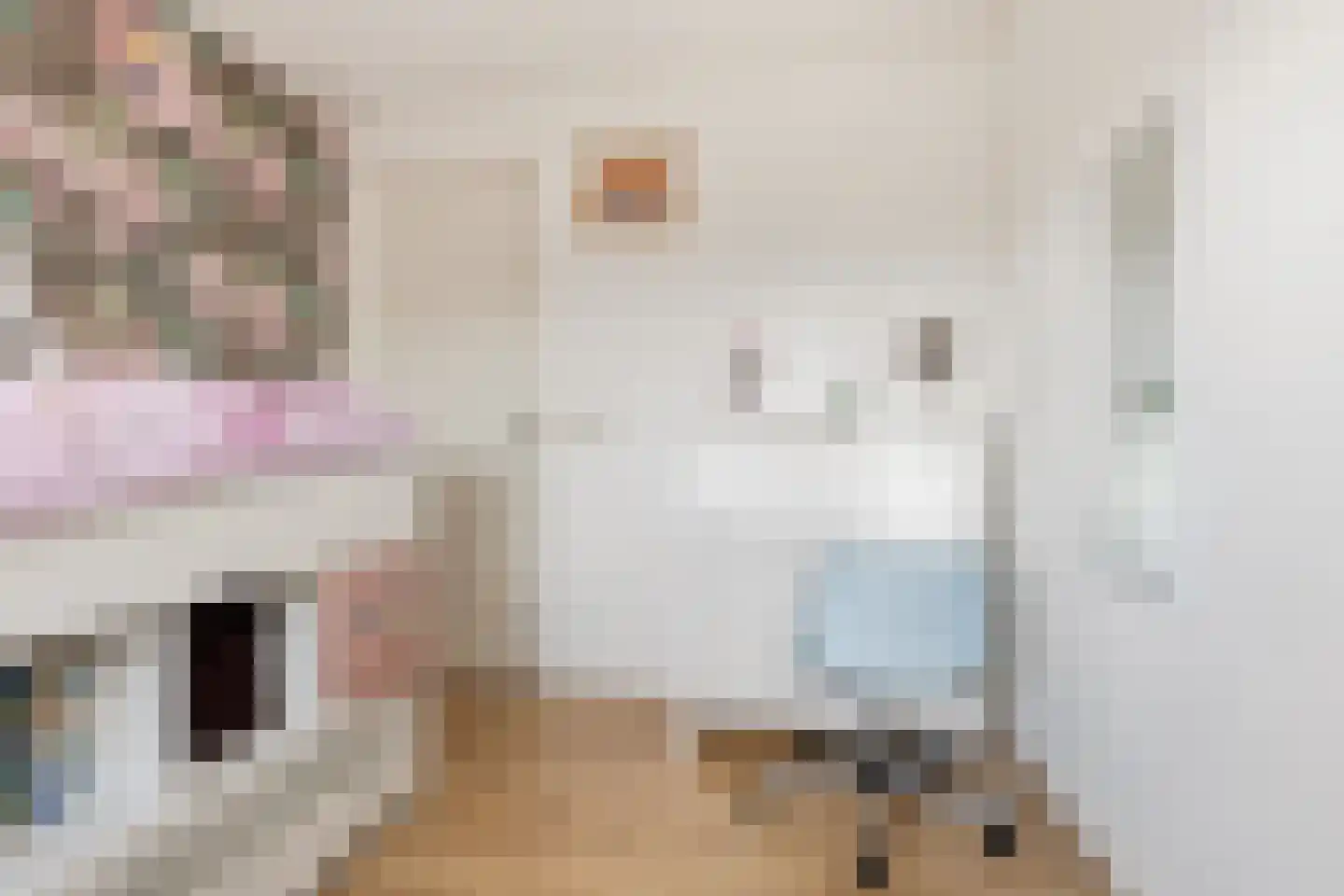 De Spin 6 Uitgeest thumbnail 28