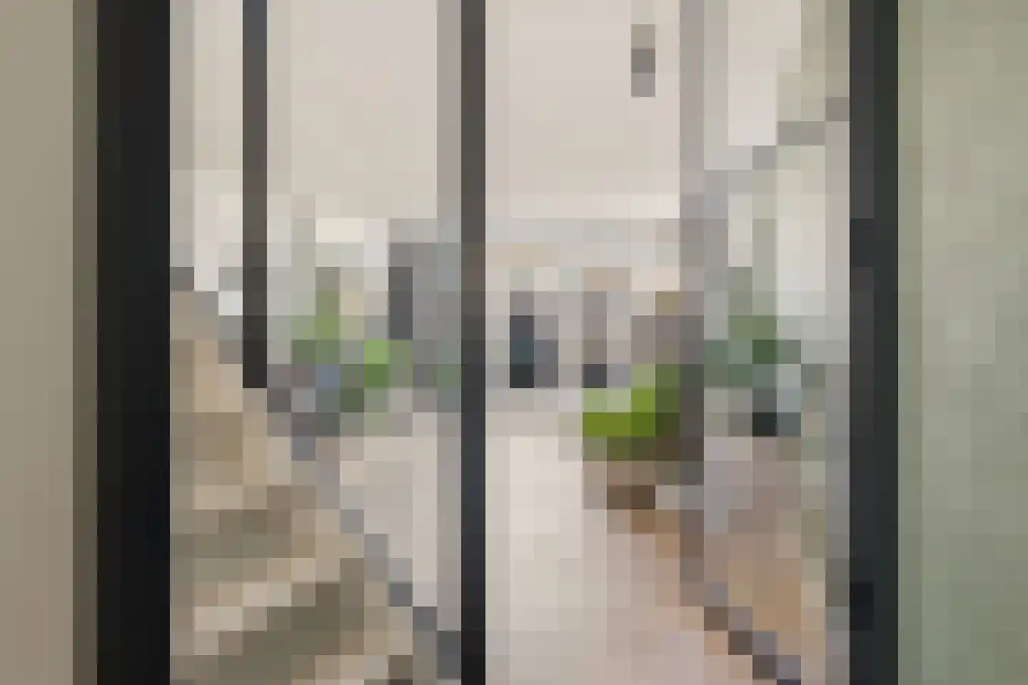 De Spin 6 Uitgeest thumbnail 4