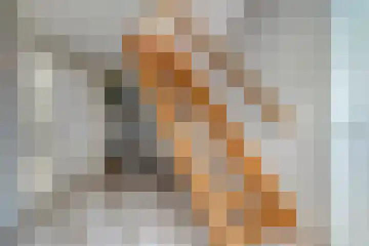 de Spinde 10 Heino thumbnail 10