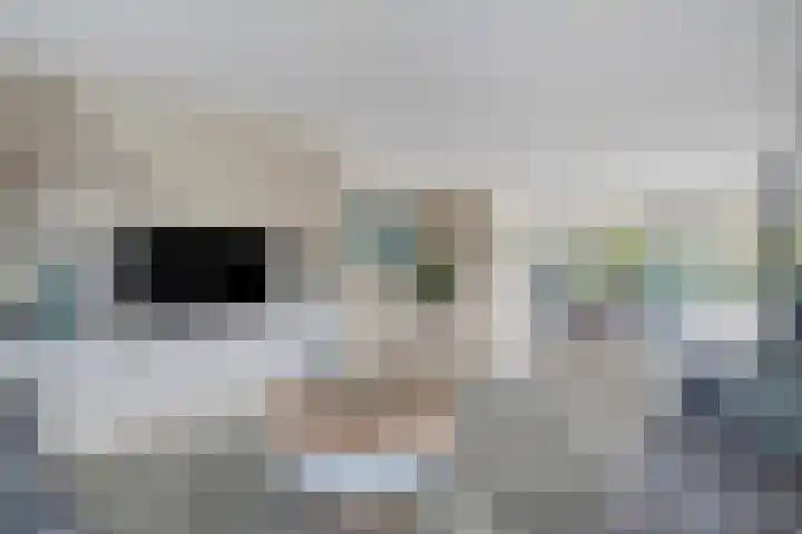 de Spinde 10 Heino thumbnail 12
