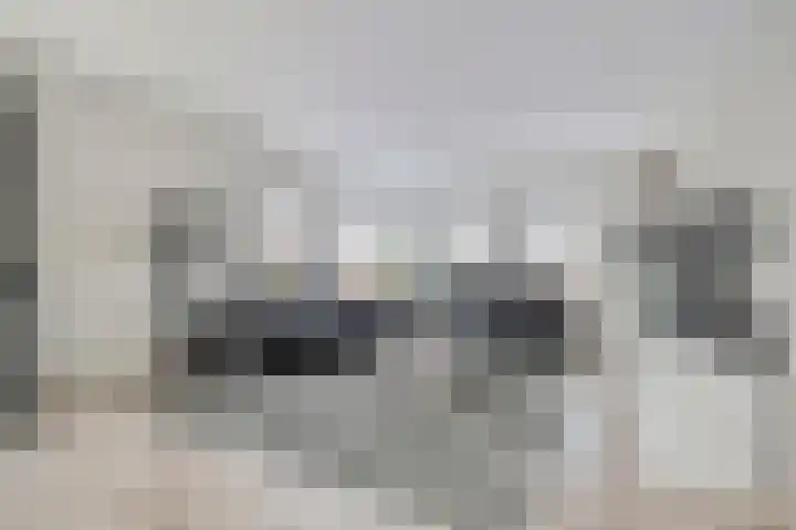 de Spinde 10 Heino thumbnail 13