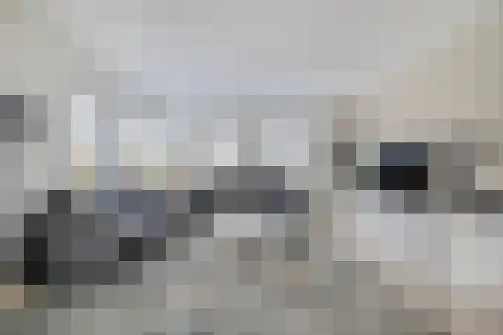 de Spinde 10 Heino thumbnail 14