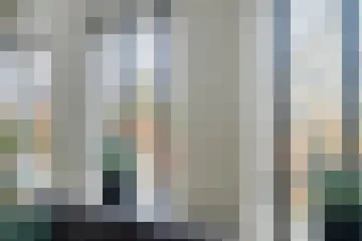 de Spinde 10 Heino thumbnail 15