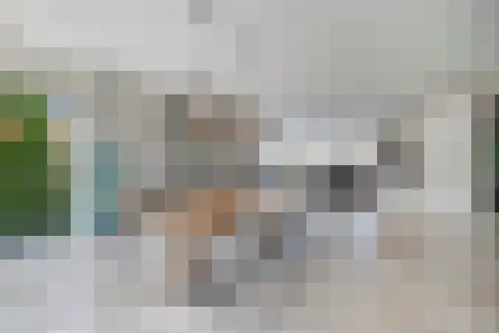 de Spinde 10 Heino thumbnail 17