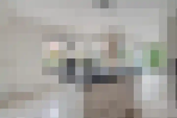 de Spinde 10 Heino thumbnail 20