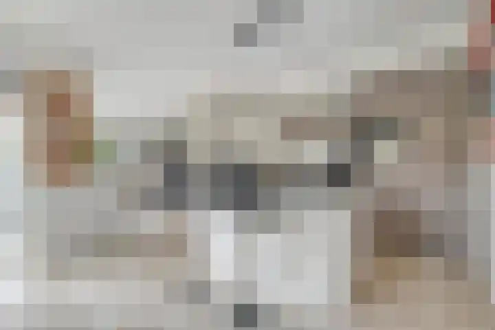 de Spinde 10 Heino thumbnail 21