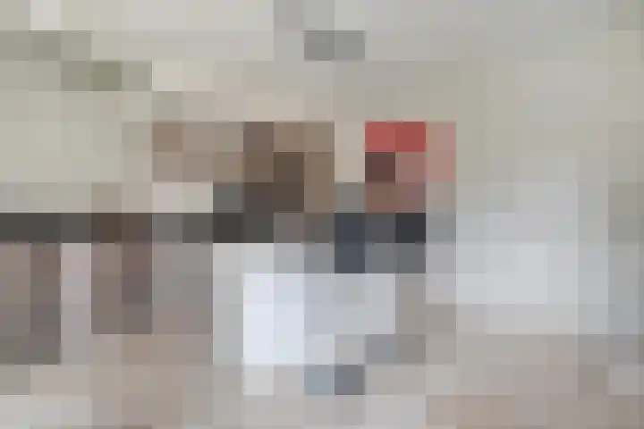 de Spinde 10 Heino thumbnail 22