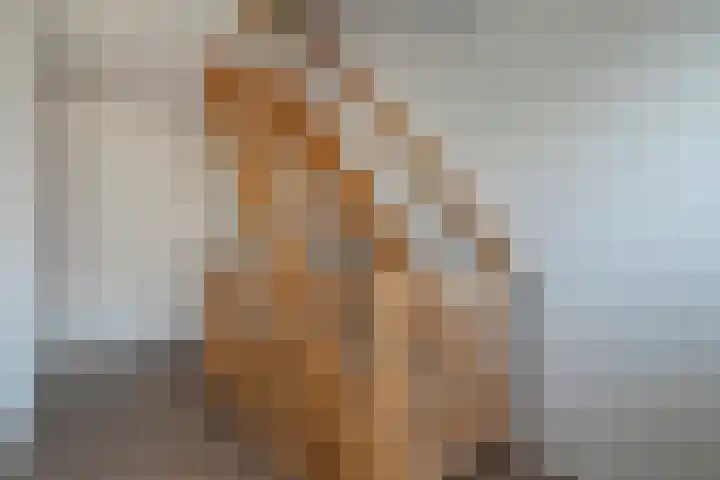 de Spinde 10 Heino thumbnail 25
