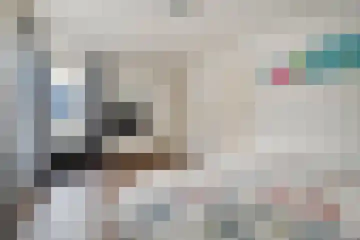 de Spinde 10 Heino thumbnail 28
