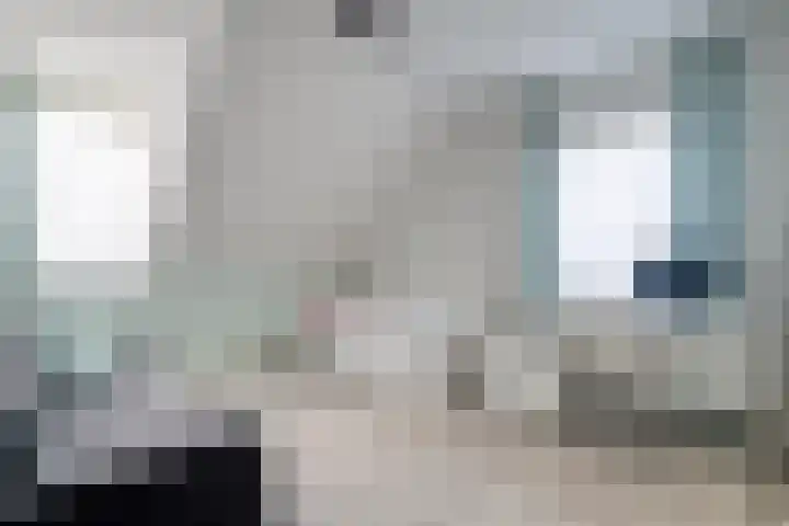 de Spinde 10 Heino thumbnail 31