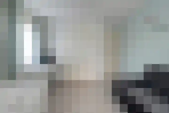 de Spinde 10 Heino thumbnail 32