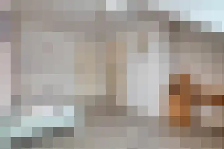 de Spinde 10 Heino thumbnail 34
