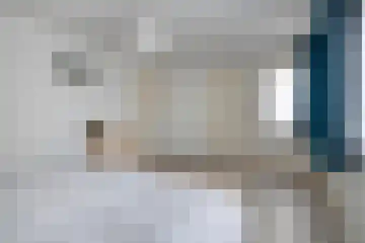 de Spinde 10 Heino thumbnail 35
