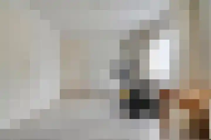 de Spinde 10 Heino thumbnail 38