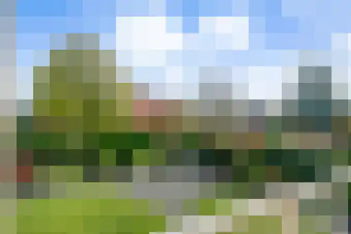 de Spinde 10 Heino thumbnail 4