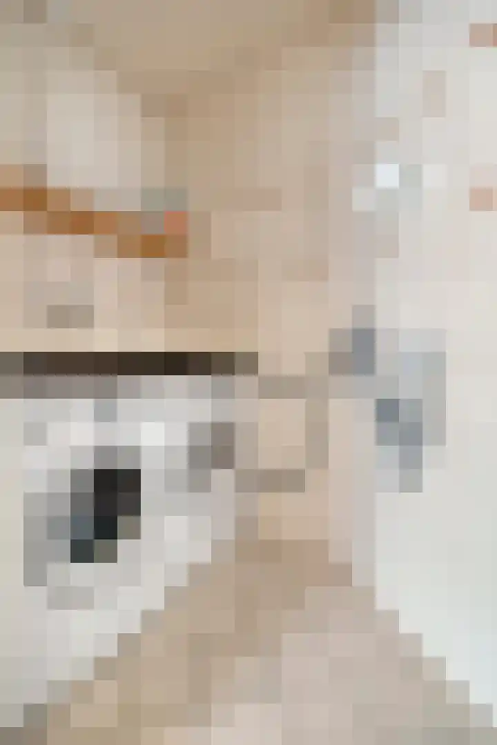 de Spinde 10 Heino thumbnail 45