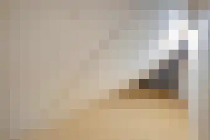 de Spinde 10 Heino thumbnail 47