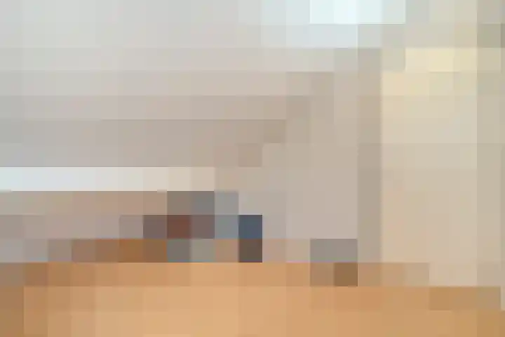 de Spinde 10 Heino thumbnail 49