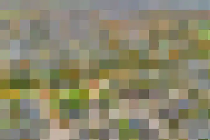 de Spinde 10 Heino thumbnail 5