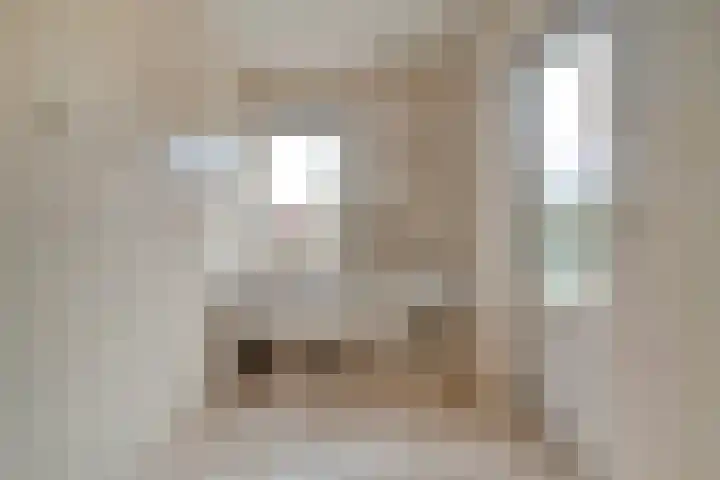 de Spinde 10 Heino thumbnail 52