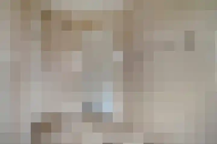 de Spinde 10 Heino thumbnail 53