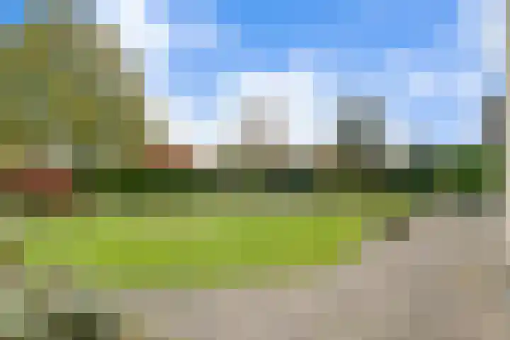 de Spinde 10 Heino thumbnail 59
