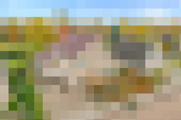de Spinde 10 Heino thumbnail 6