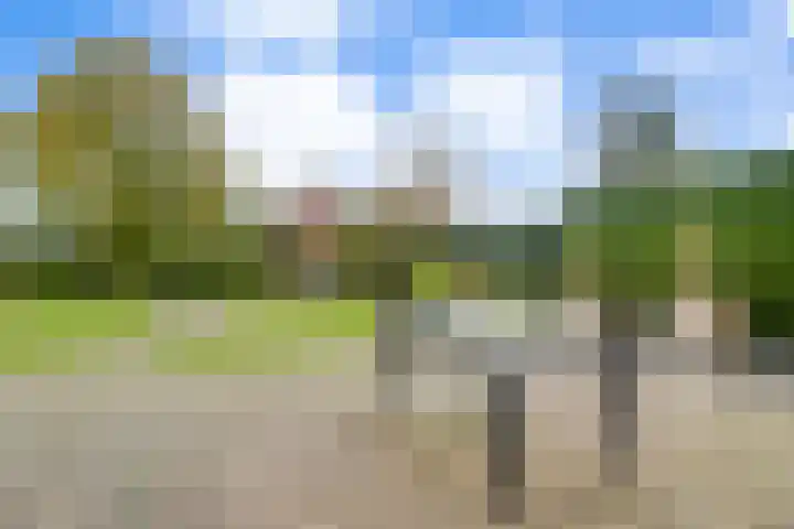 de Spinde 10 Heino thumbnail 60