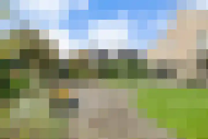 de Spinde 10 Heino thumbnail 61