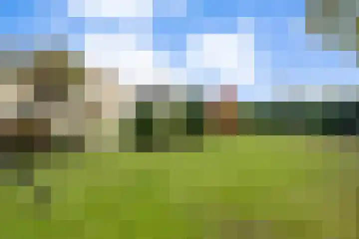 de Spinde 10 Heino thumbnail 62