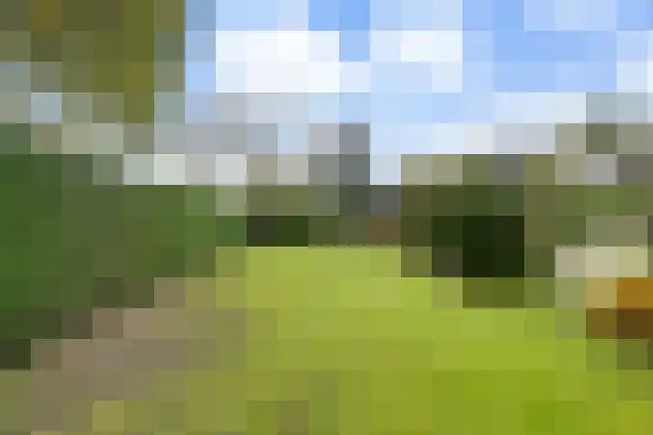 de Spinde 10 Heino thumbnail 63