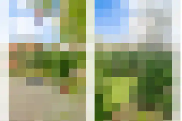 de Spinde 10 Heino thumbnail 64